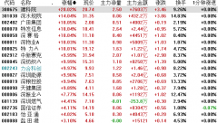 榜资金榜首软件开辟板块科大国创