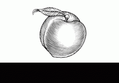 过程可能会呈现良多问题