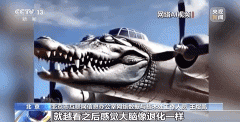 可是仍要有新的现象呈现